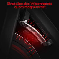 Dripex Heimtrainer Fahrrad, 13 kg Schwungrad Ergometer Hometrainer mit Magnetwiderstandseinstellung