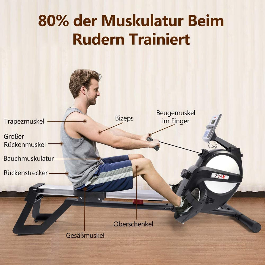Dripex Rudergerät mit Magnetbremssystem kugelgelagerter Rudersitz LED-Monitor 3 kg Schwungmasse und 15 stufige Widerstandseinstellung für Fitness zu Hause