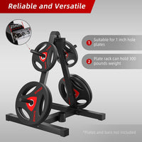 Dripex Hantelscheibenständer, Scheibenständer Für Standard 30mm Bohrung, Stangenhalter mit 4 Stangen, Belastbar bis 136 kg